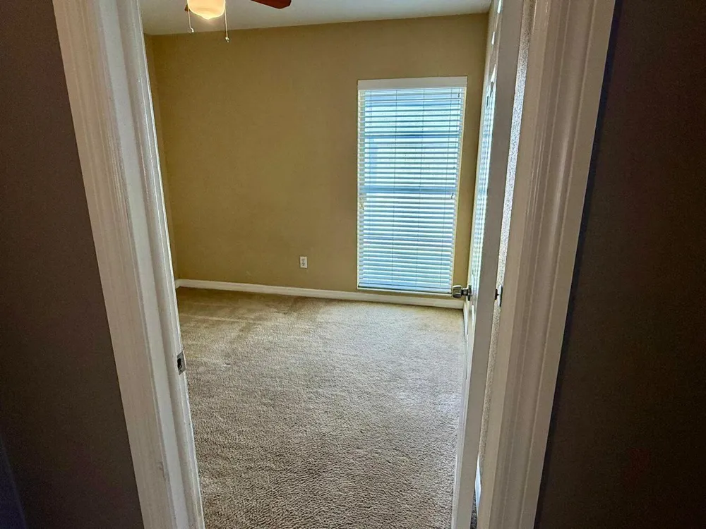 3363 MARION DRIVE Palm Harbor, FL 34684