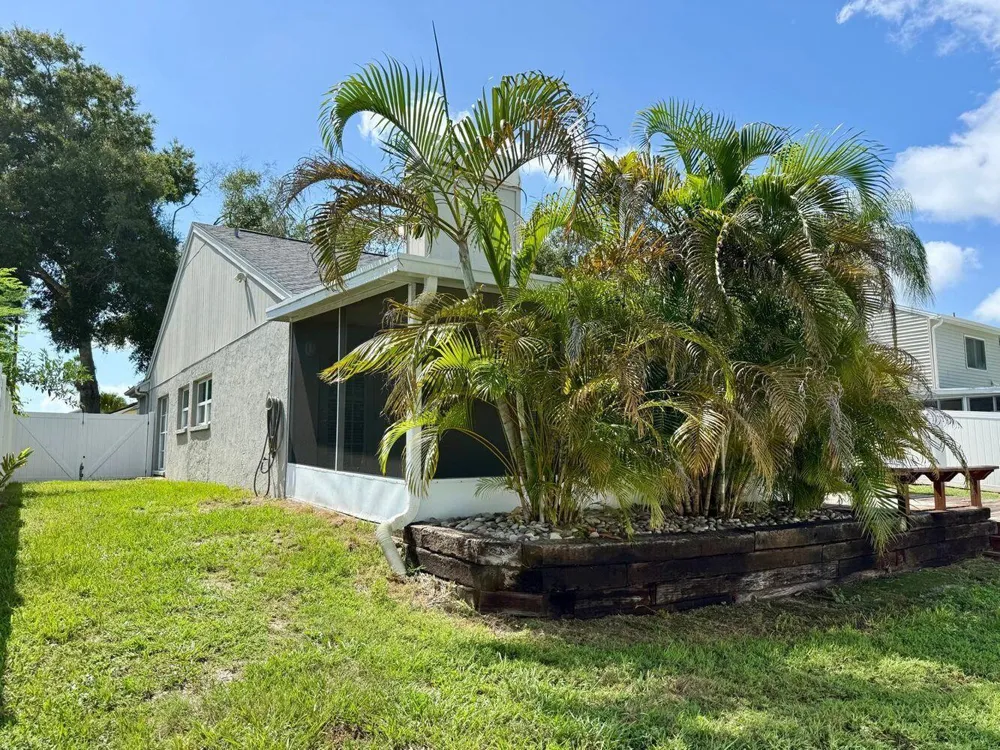 3363 MARION DRIVE Palm Harbor, FL 34684