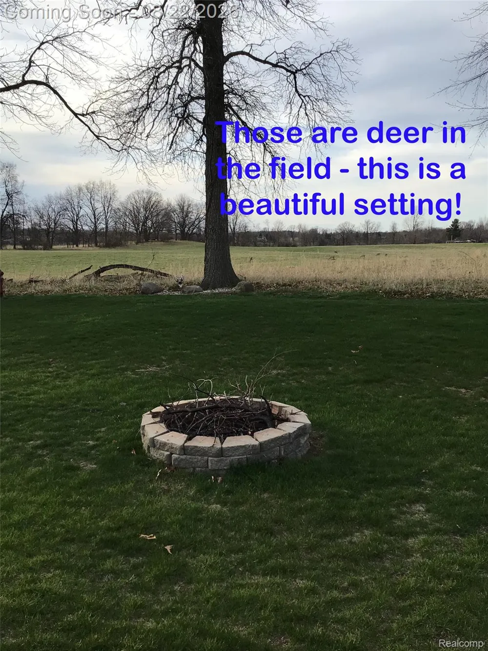 404 Lydia Lane Linden City, MI 48451