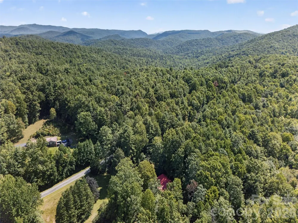 1900 Solomon Jones Road Cedar Mountain, NC 28718
