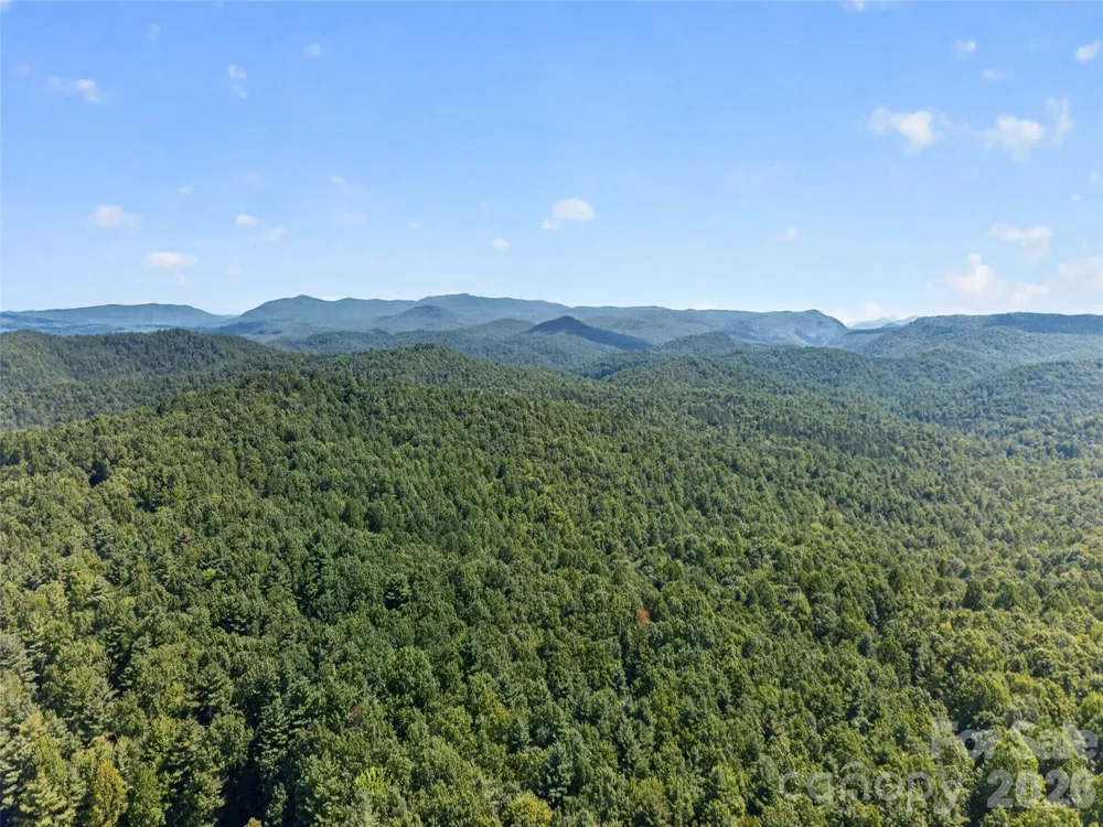 1900 Solomon Jones Road Cedar Mountain, NC 28718