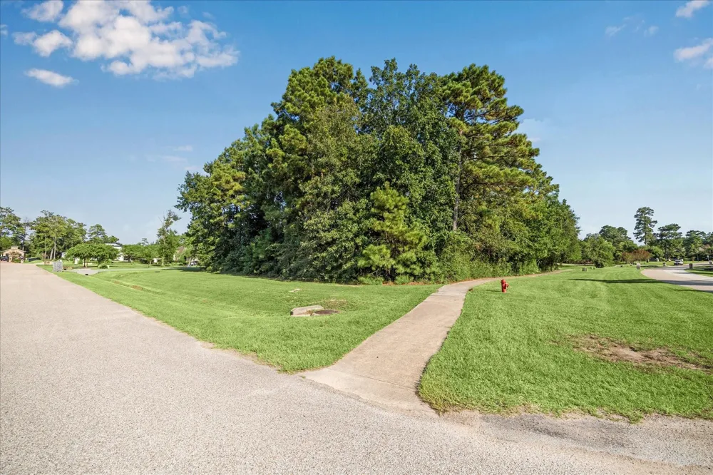 4502 Siandra Creek Court Spring, TX 77386
