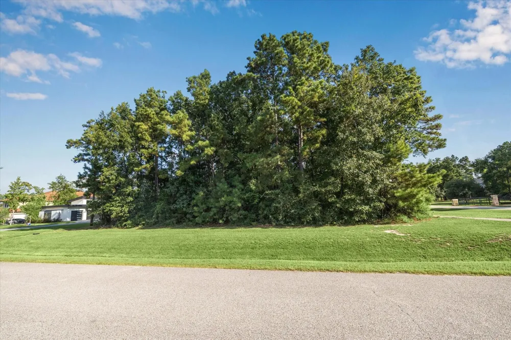 4502 Siandra Creek Court Spring, TX 77386