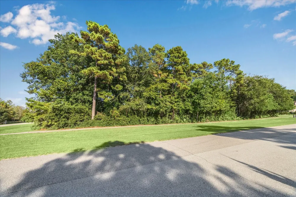 4502 Siandra Creek Court Spring, TX 77386