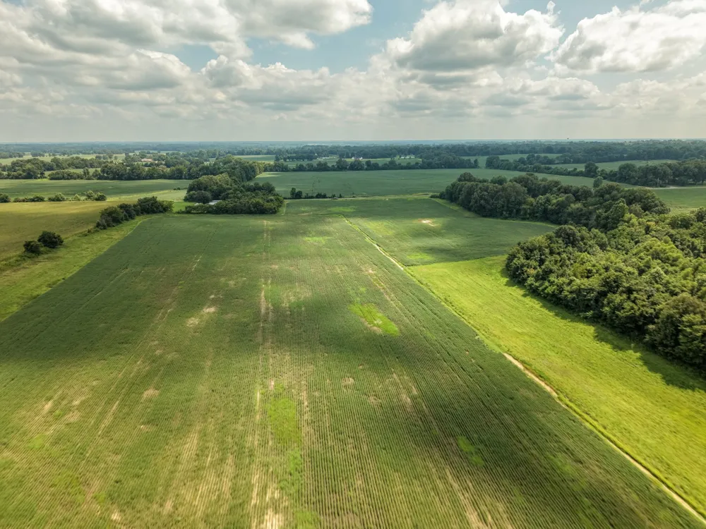 0 Highway 412 Alamo, TN 38001