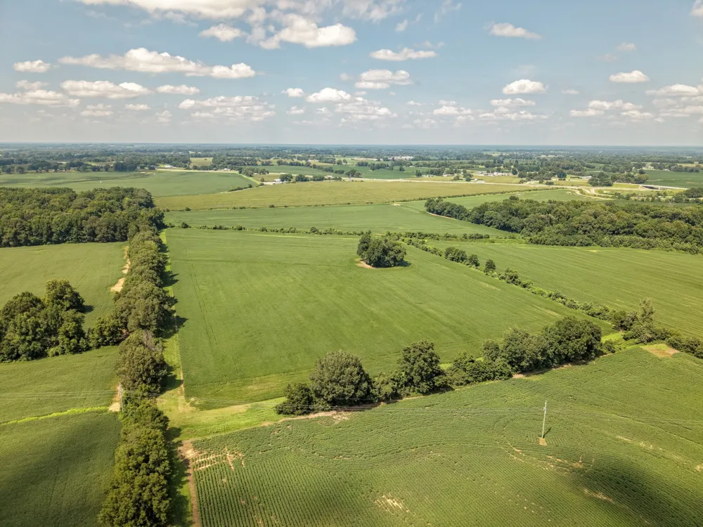 0 S Maury City Rd Alamo, TN 38001