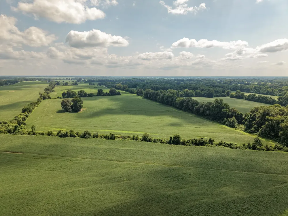 0 S Maury City Rd Alamo, TN 38001