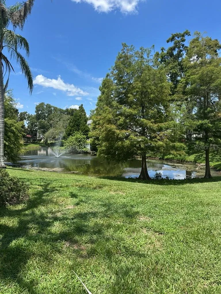 13046 VILLAGE CHASE CIRCLE #13046 Tampa, FL 33618