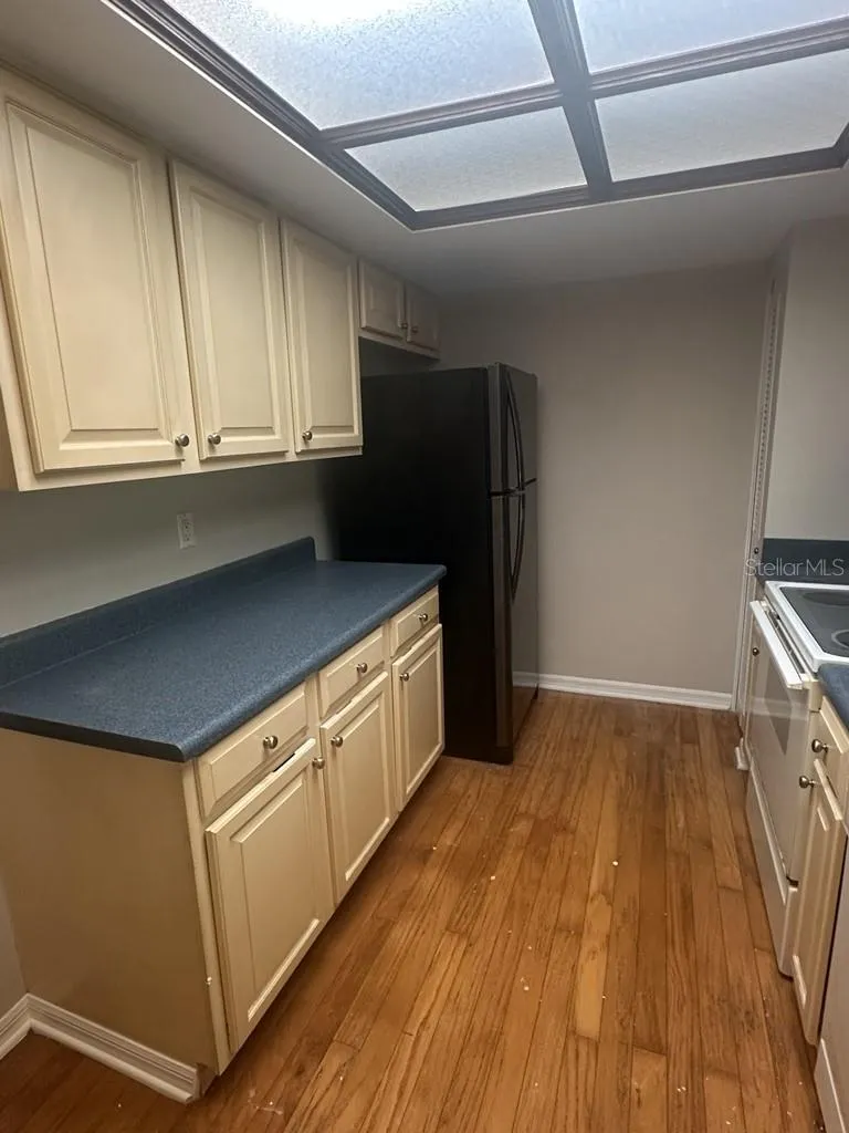 13046 VILLAGE CHASE CIRCLE #13046 Tampa, FL 33618