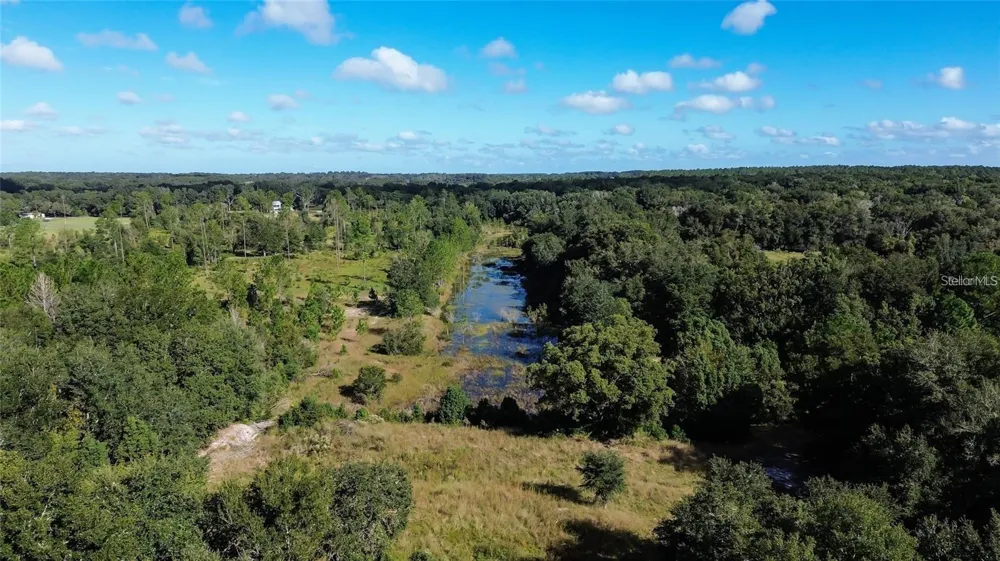 TREE FROG LOT 6 LANE Eustis, FL 32736