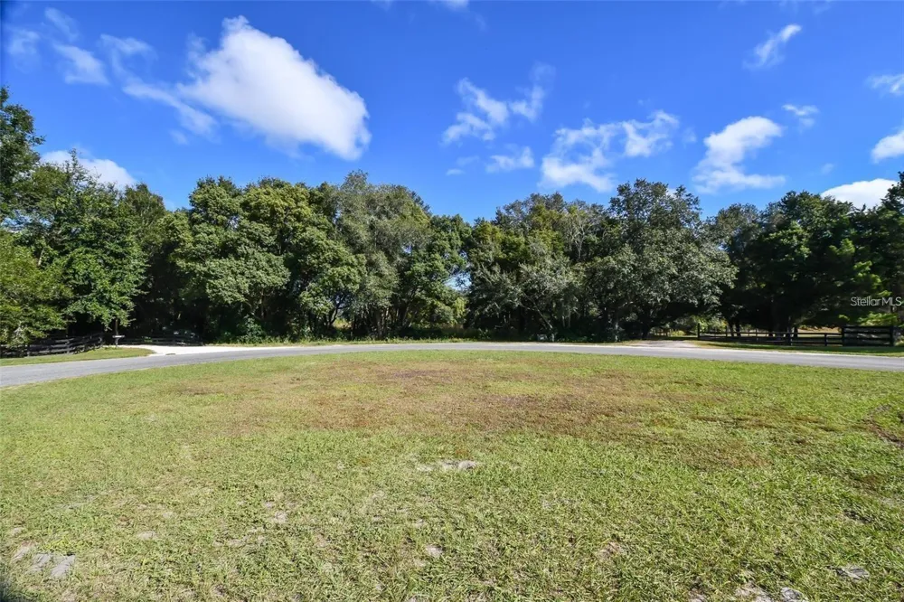 TREE FROG LOT 6 LANE Eustis, FL 32736