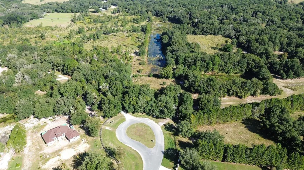 TREE FROG LOT 6 LANE Eustis, FL 32736
