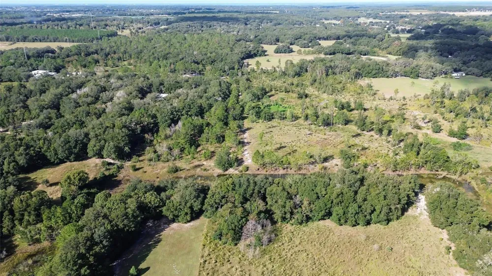 TREE FROG LOT 6 LANE Eustis, FL 32736