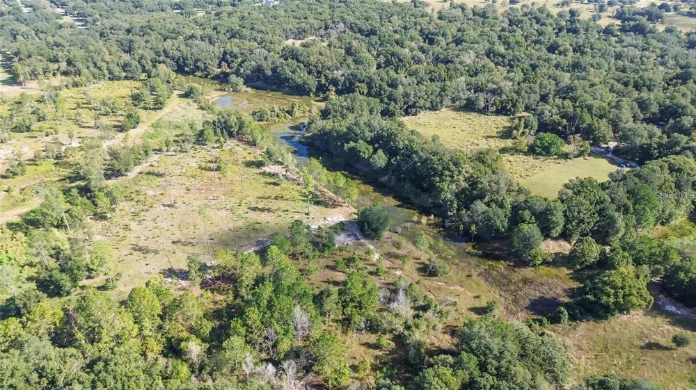 TREE FROG LOT 6 LANE Eustis, FL 32736