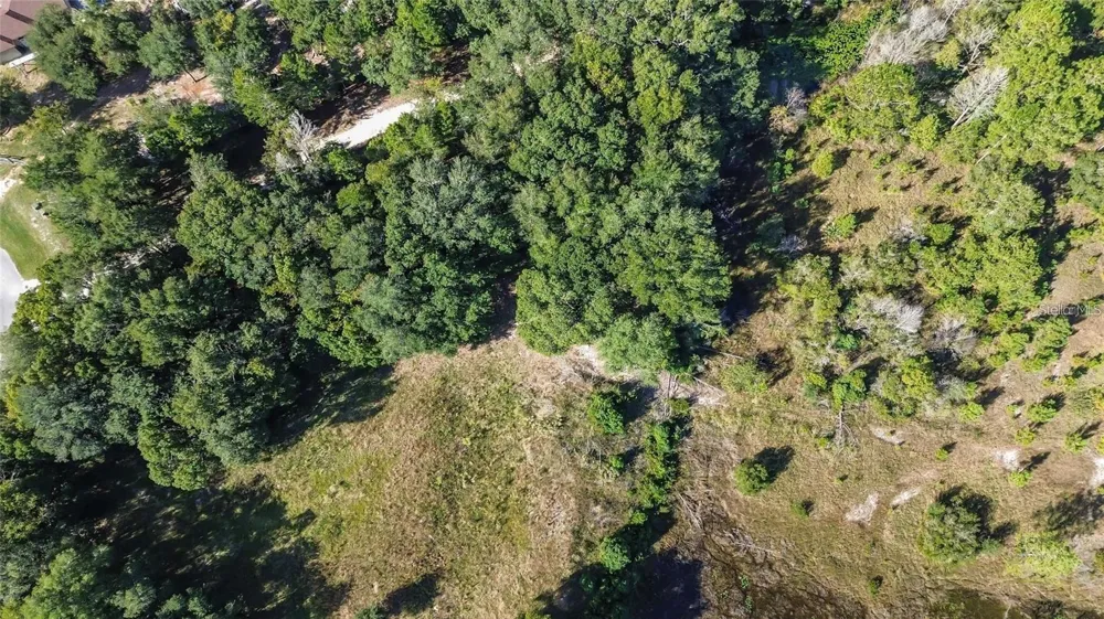 TREE FROG LOT 6 LANE Eustis, FL 32736