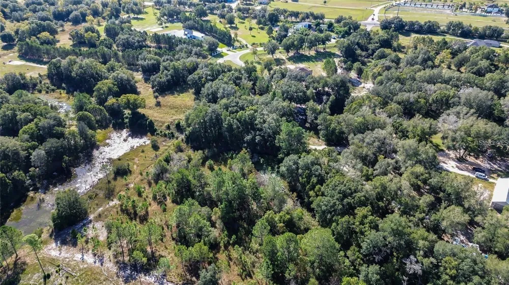 TREE FROG LOT 6 LANE Eustis, FL 32736