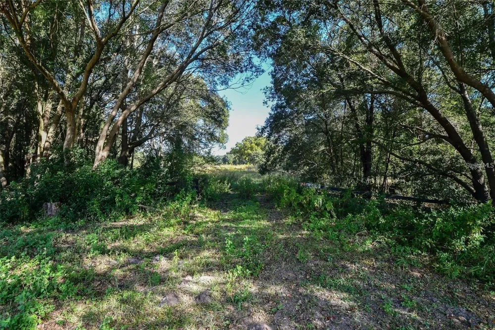 TREE FROG LOT 6 LANE Eustis, FL 32736