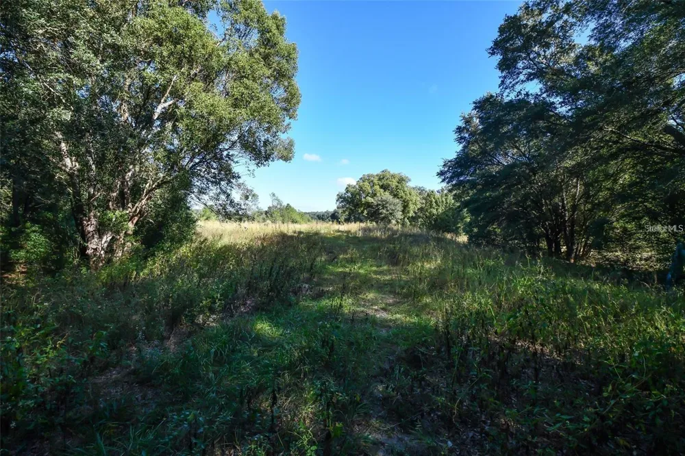TREE FROG LOT 6 LANE Eustis, FL 32736
