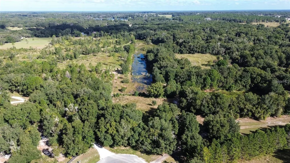 TREE FROG LOT 6 LANE Eustis, FL 32736