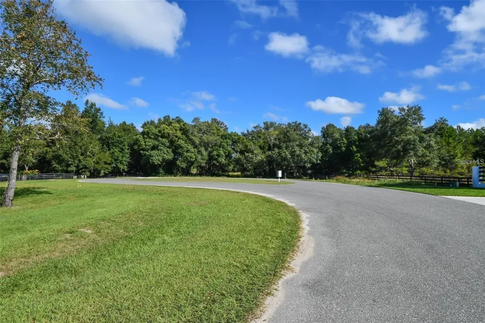 TREE FROG LOT 6 LANE Eustis, FL 32736