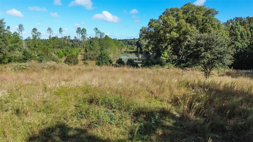 TREE FROG LOT 6 LANE Eustis, FL 32736