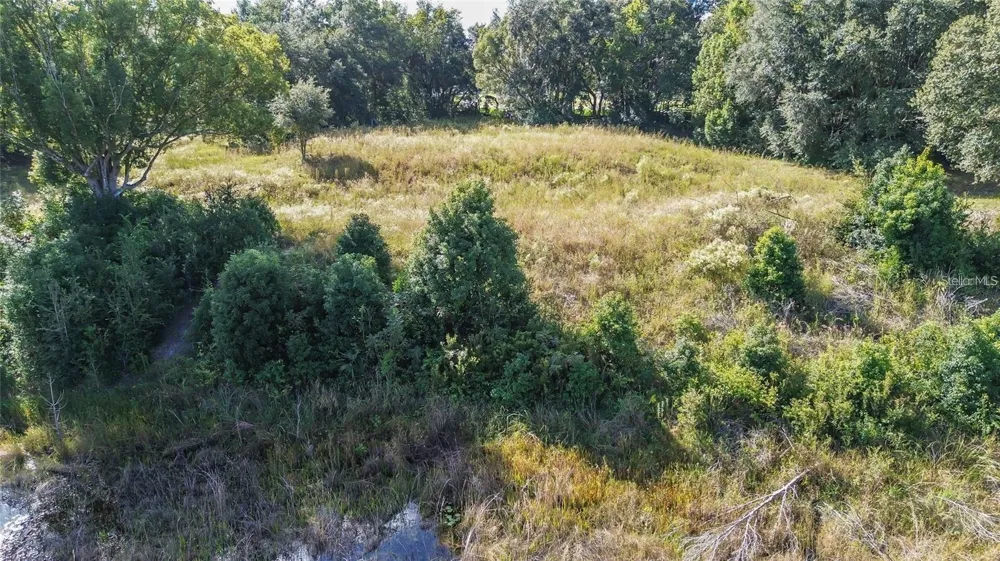 TREE FROG LOT 6 LANE Eustis, FL 32736