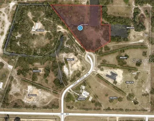 TREE FROG LOT 6 LANE Eustis, FL 32736