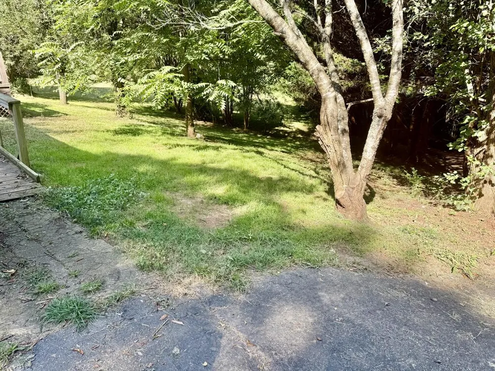 94 Green Acres Hollow Hayesville, NC 28904