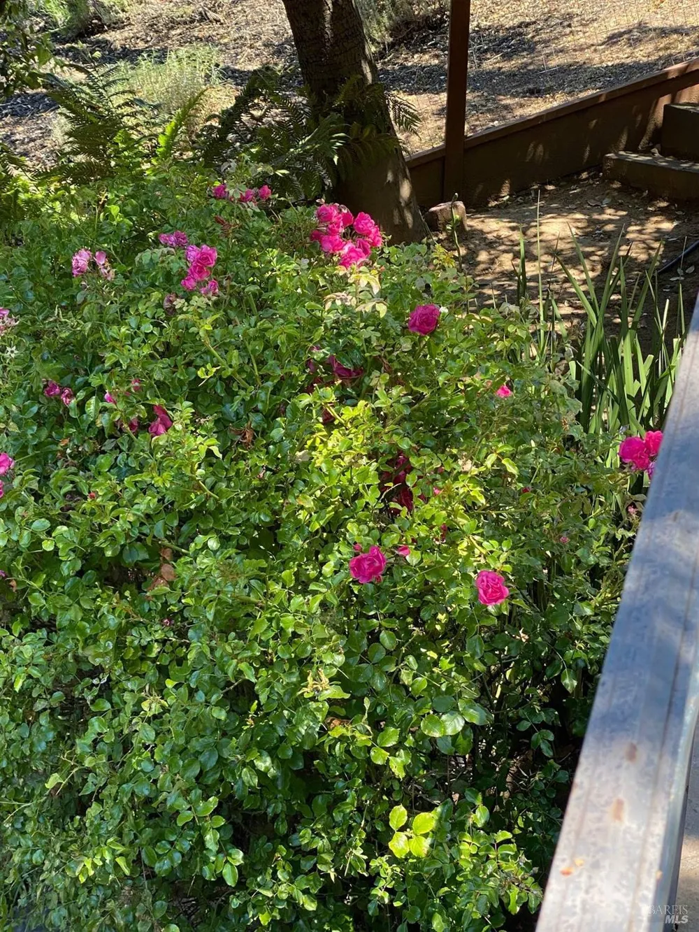 1839 Centro West Street Tiburon, CA 94920