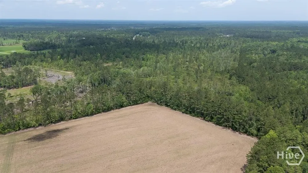 Old Louisville Road #Lot #9 Guyton, GA 31312