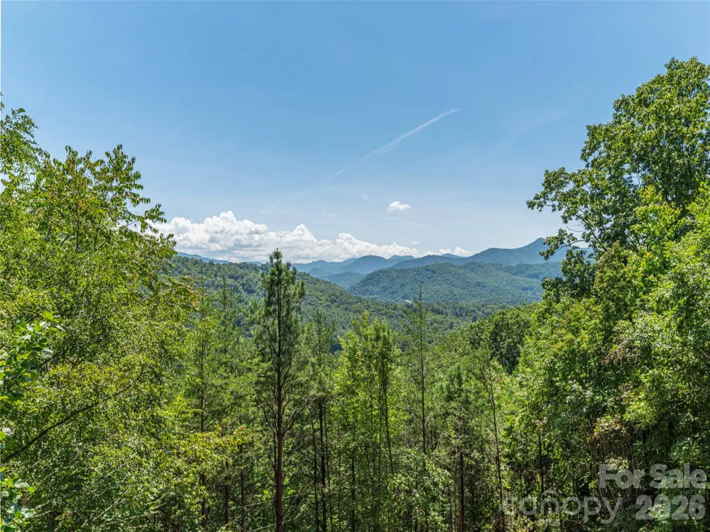 499 Match Point Sylva, NC 28779
