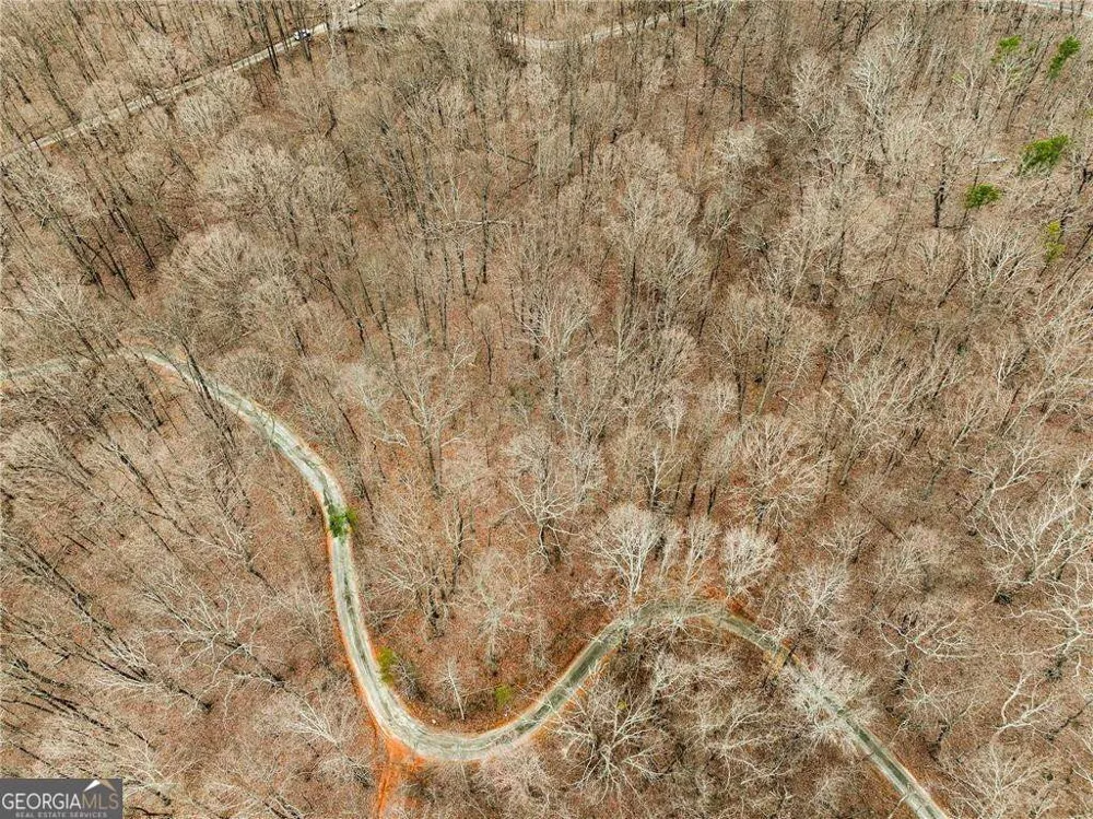 LOT 5 Mount Mincie RD Murrayville, GA 30564