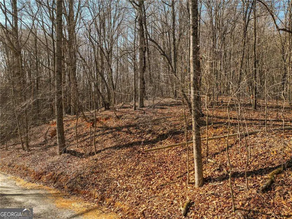 LOT 5 Mount Mincie RD Murrayville, GA 30564