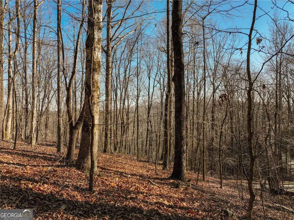 LOT 5 Mount Mincie RD Murrayville, GA 30564