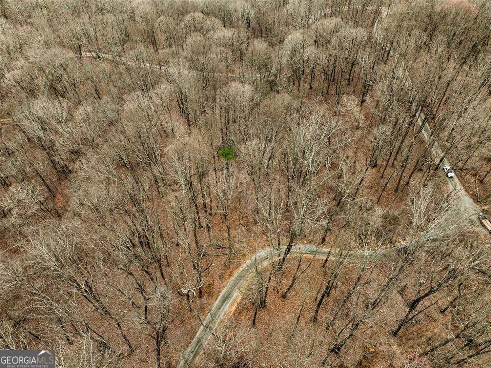 LOT 5 Mount Mincie RD Murrayville, GA 30564