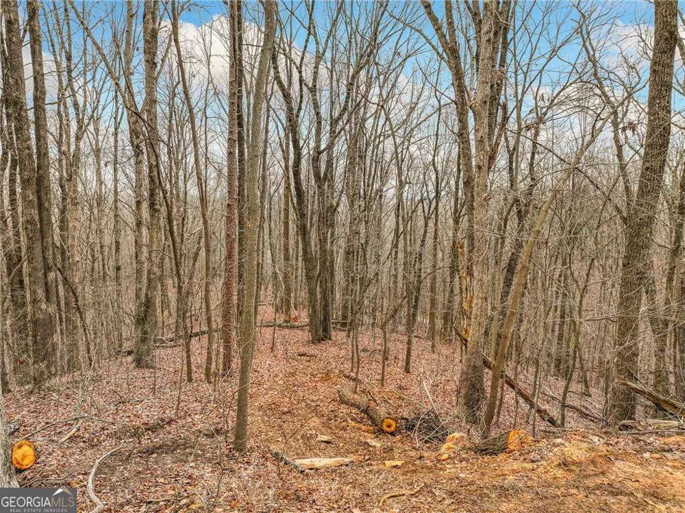 LOT 5 Mount Mincie RD Murrayville, GA 30564