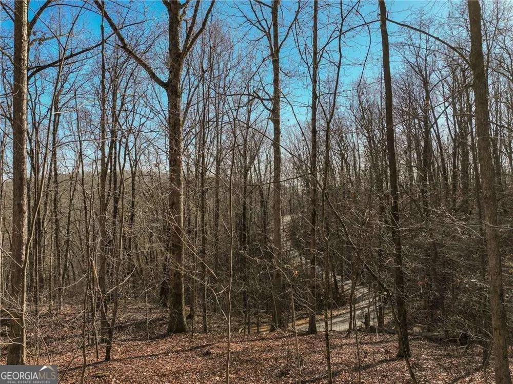 LOT 5 Mount Mincie RD Murrayville, GA 30564