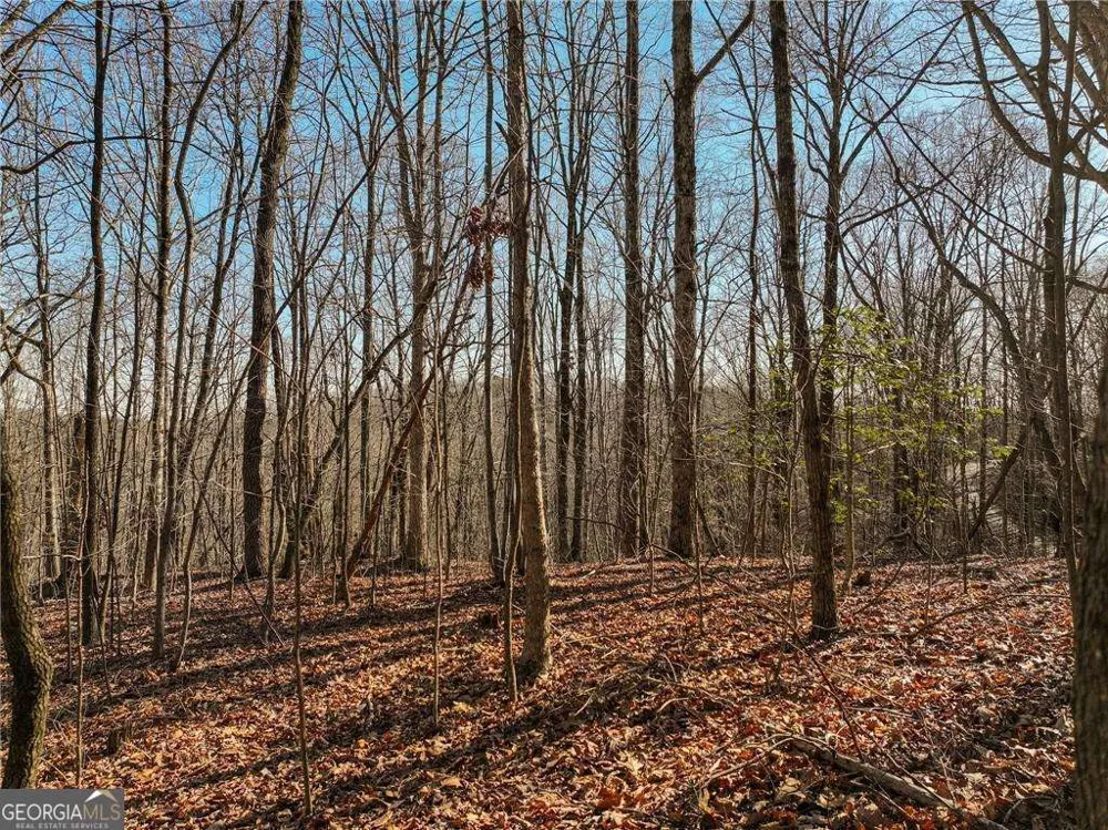 LOT 5 Mount Mincie RD Murrayville, GA 30564