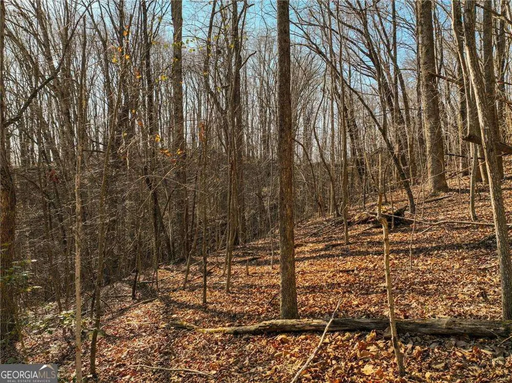 LOT 5 Mount Mincie RD Murrayville, GA 30564