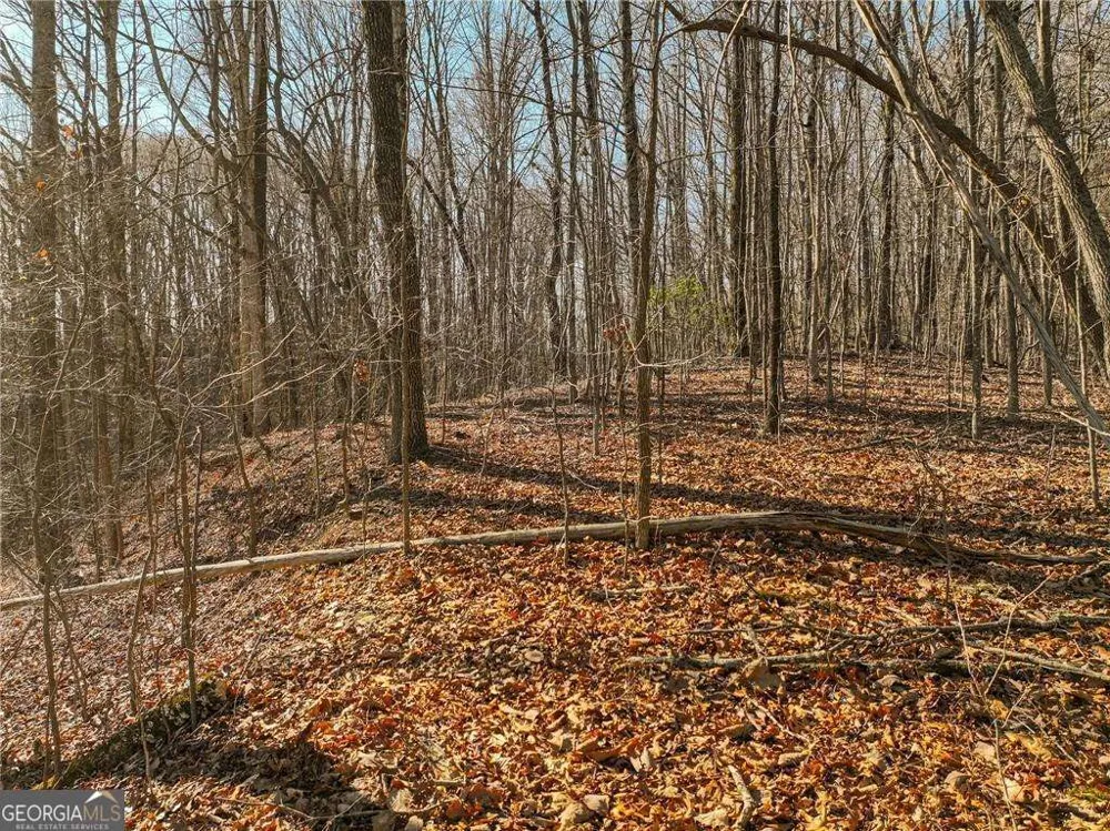 LOT 5 Mount Mincie RD Murrayville, GA 30564