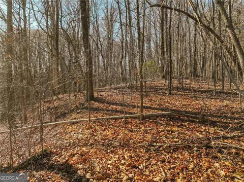 LOT 5 Mount Mincie RD