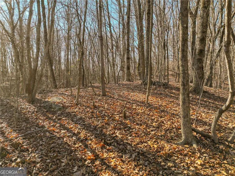 LOT 5 Mount Mincie RD Murrayville, GA 30564