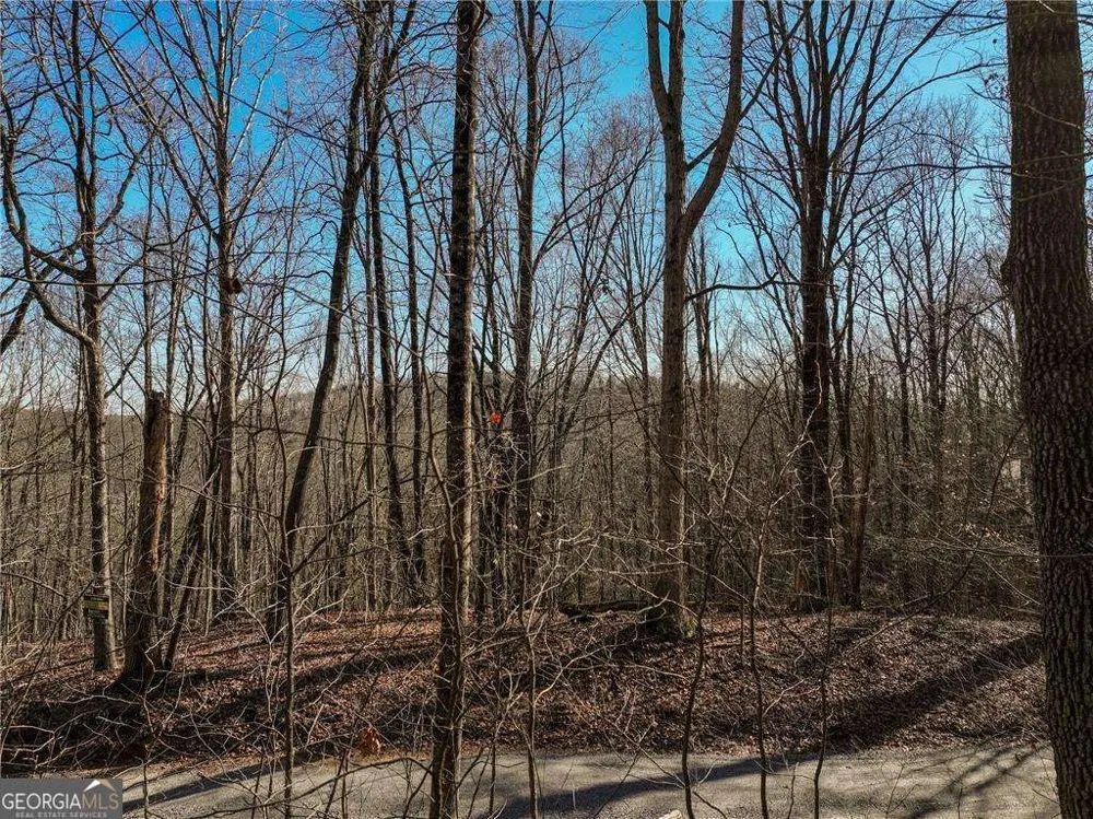 LOT 5 Mount Mincie RD Murrayville, GA 30564