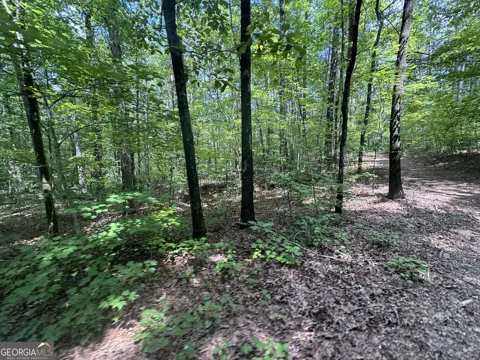 2996 Stokes Store RD