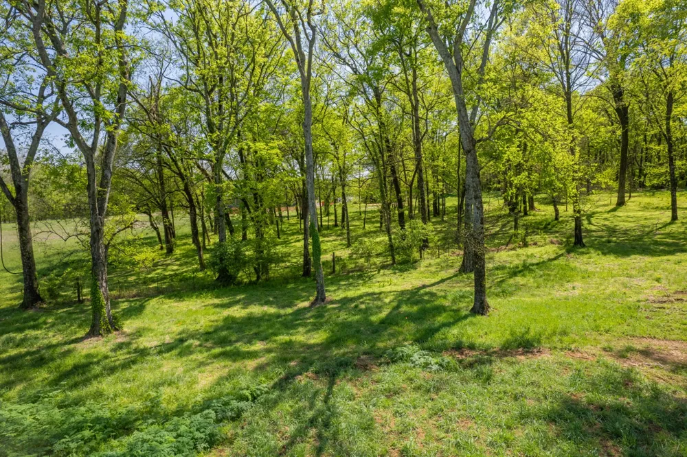 4 Old Zion Rd Columbia, TN 38401