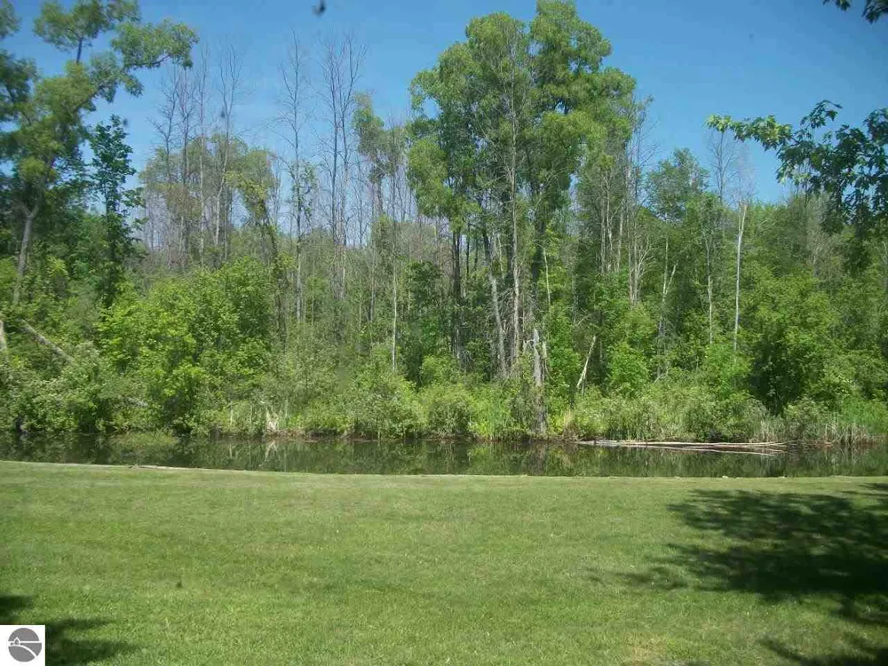 4737 Peninsula Road Plainfield Township, MI 48739