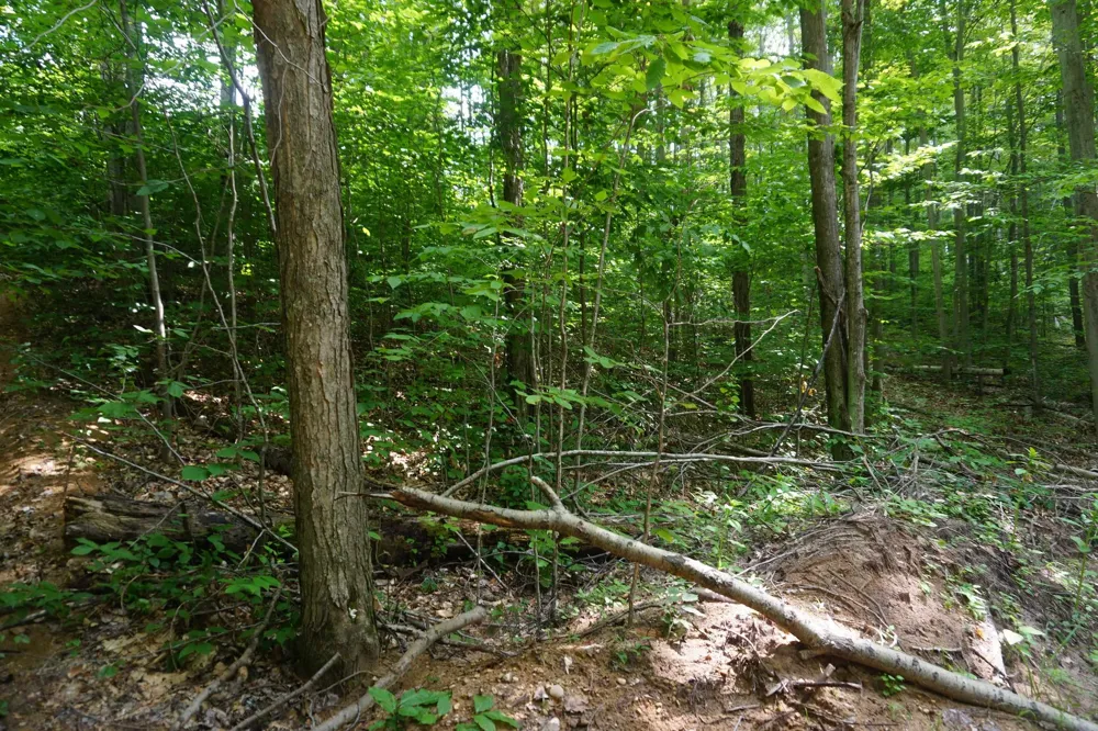 13992 Merrill Avenue Blue Lake Township, MI 49646