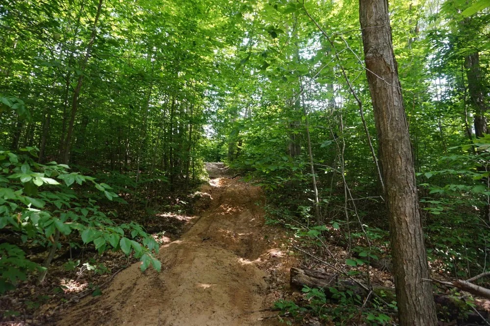13992 Merrill Avenue Blue Lake Township, MI 49646