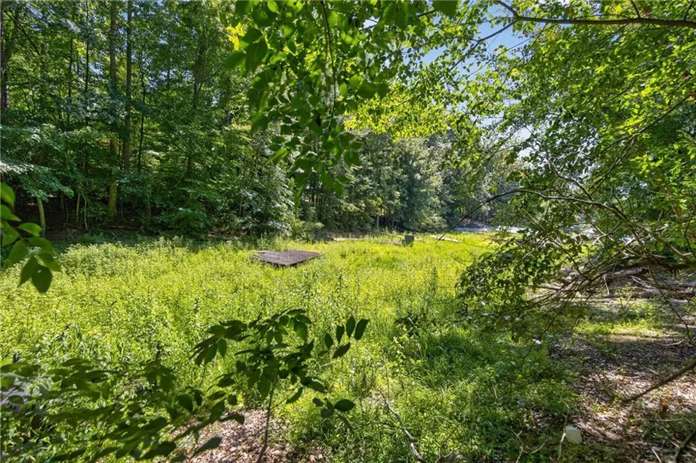 825 Rue Fluer De Lis Lavonia, GA 30553