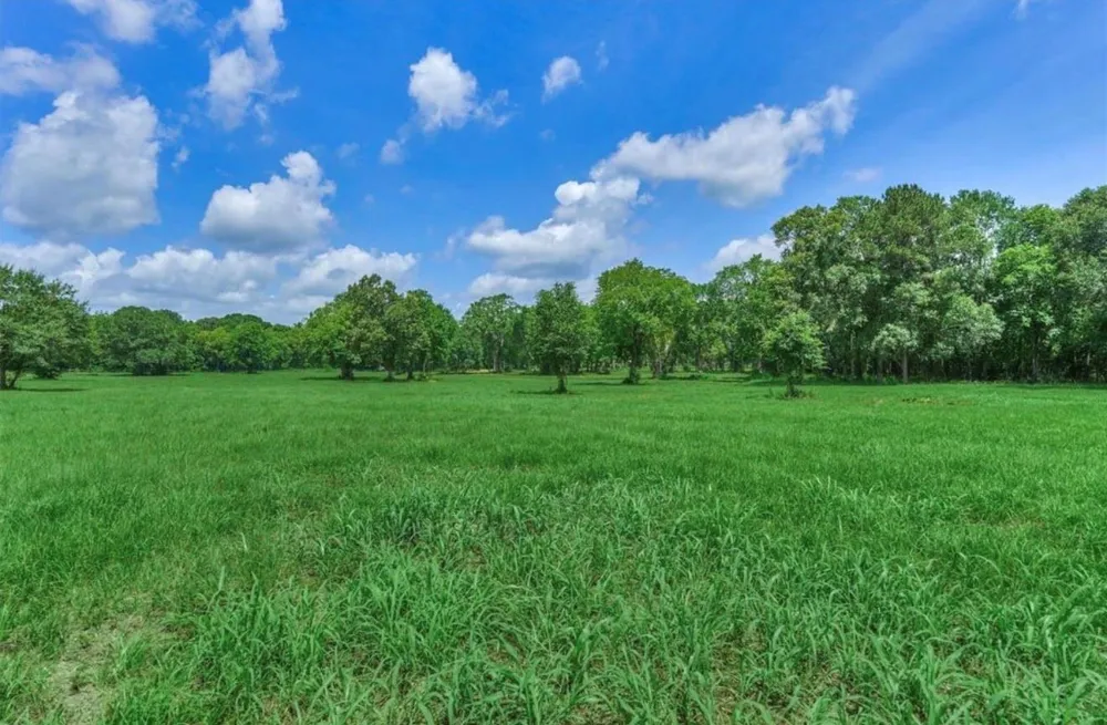 Sharpwest Trail Montgomery, TX 77316